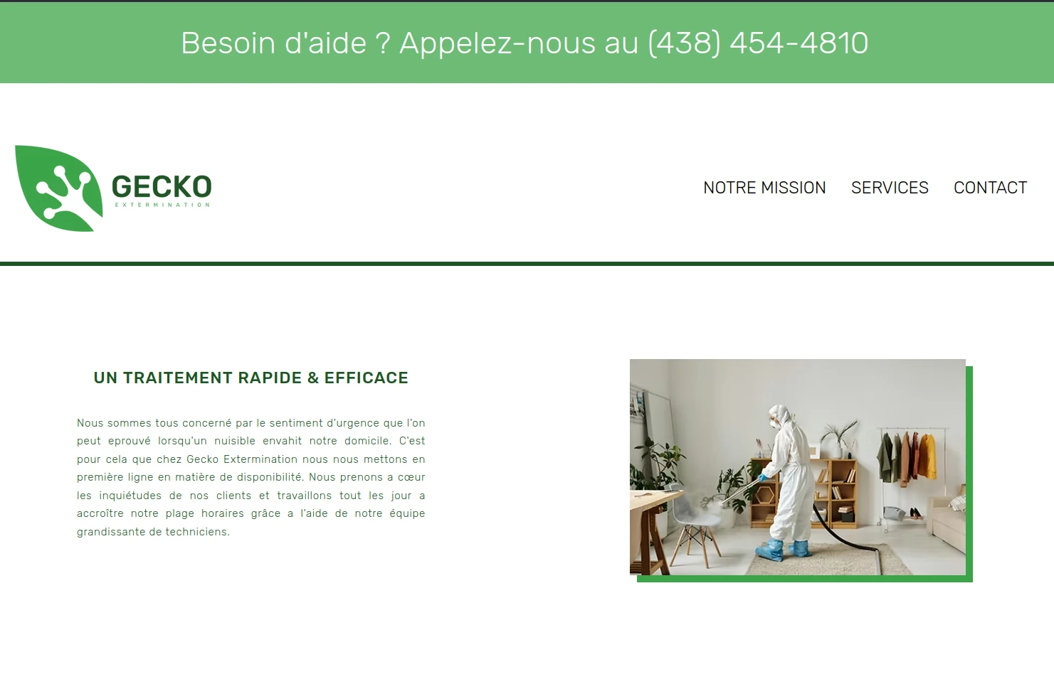 image site web geckoextermination